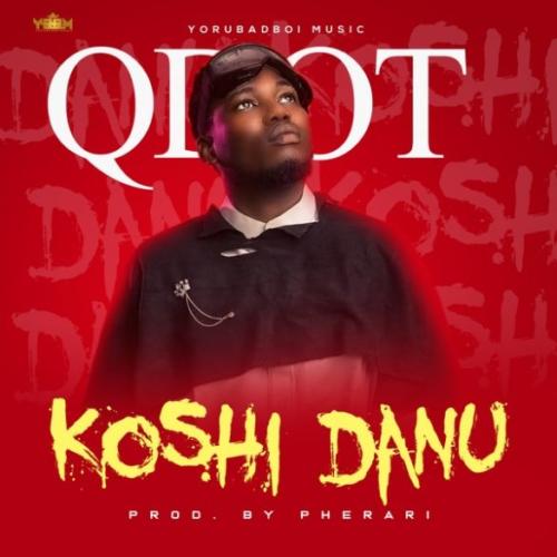 [Lyrics] Qdot – “Koshi Danu”