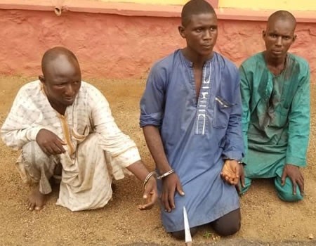 Police arrest three herdsmen for killing 40-year-old farmer in Ogun