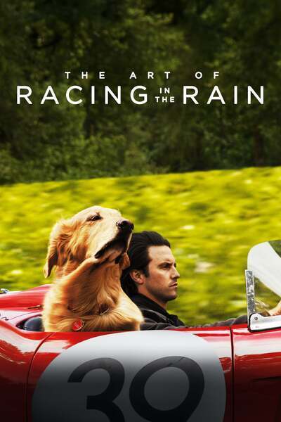 The Art of Racing in the Rain (2019) – Hollywood Movie