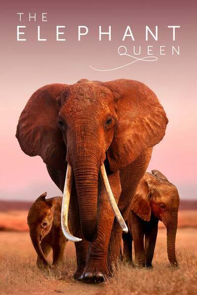 The Elephant Queen (2019) – Hollywood Movie