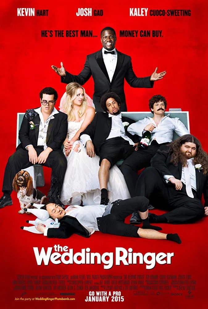 The Wedding Ringer (2015) – Hollywood Movie