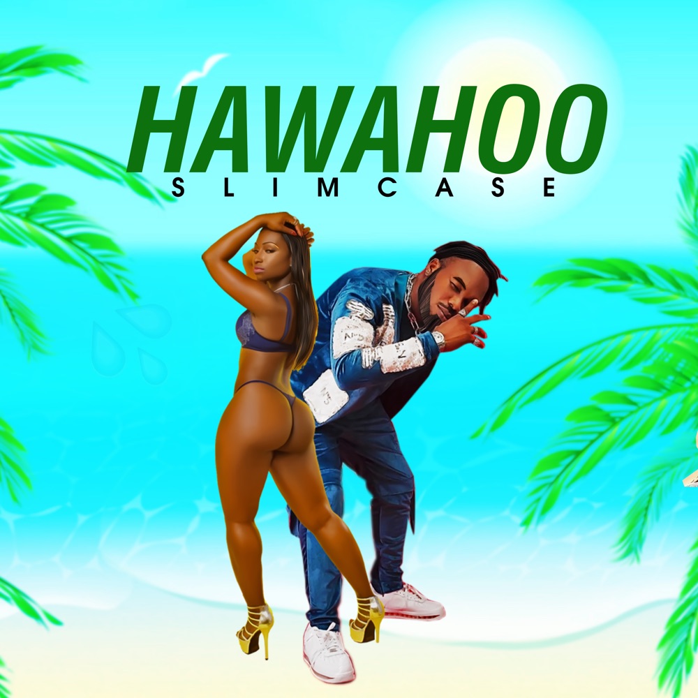 [Music] Slimcase – “Hawahoo”