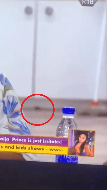 Viewers shocked after spotting a rat inside the #BBNaija house (WATCH) Viewers shocked after spotting a rat inside the #BBNaija house (WATCH)