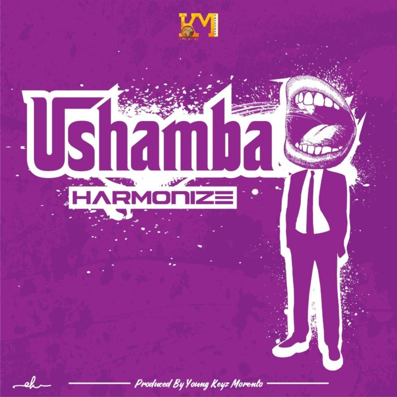 [Lyrics] Harmonize – “Ushamba”