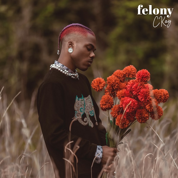 [Music] Ckay – “Felony”