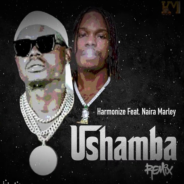 [Music] Harmonize – “Ushamba” (Remix) ft. Naira Marley