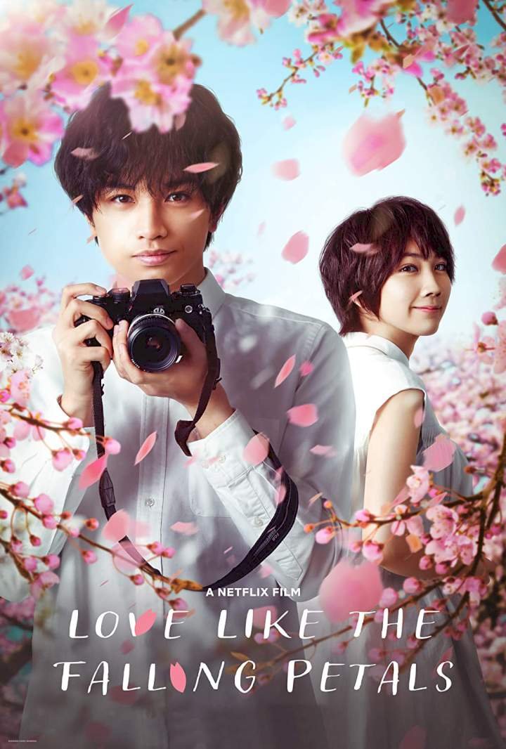 Love Like the Falling Petals (2022) – Japanese Movie