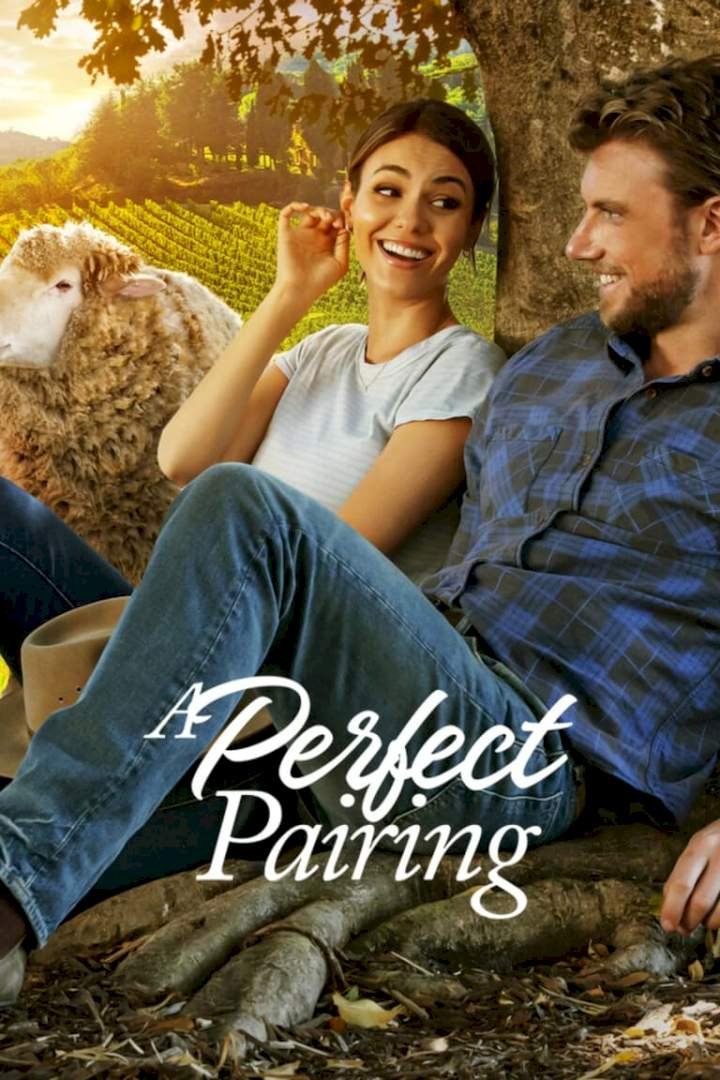 A Perfect Pairing (2022) – Hollywood Movie