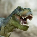 free-tyrannosaurus-dinosaur-photo-and-picture