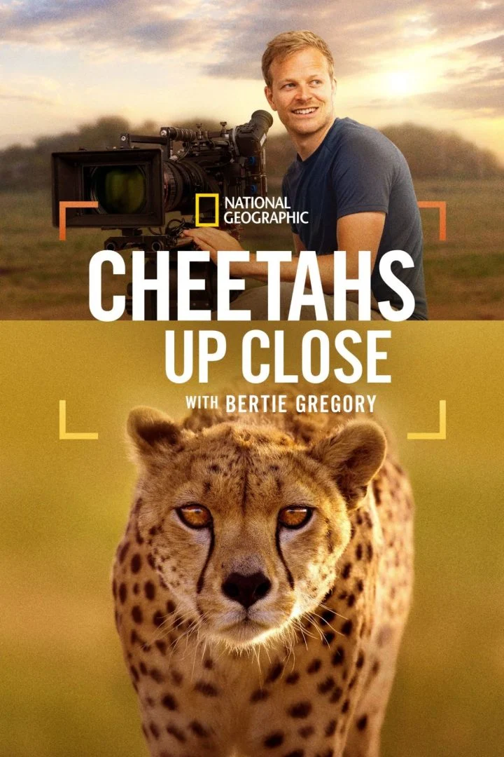 Cheetahs Up Close with Bertie Gregory (2026)