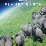 Planet Earth Season 1 Episode 1 - 11 (Complete) wp-17810937889283876158671969478734.jpg