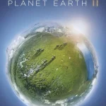Planet Earth II Season 1 Episode 1 - 6 (Complete) wp-17815139419171703576511632068566.jpg